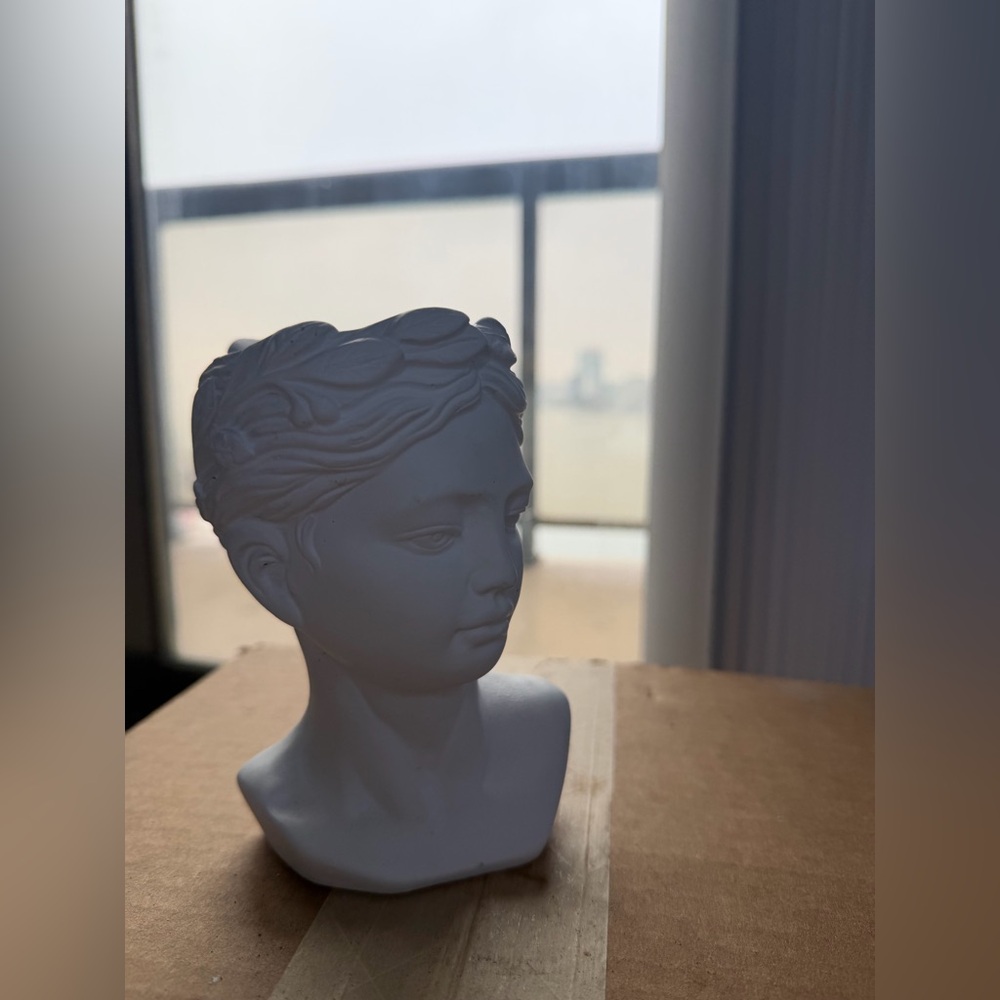 Small Plant 🪴 Holder Vase (air plant) 🌱 holder White Bust Sculpture